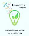 ООО Драгонфлай Компани